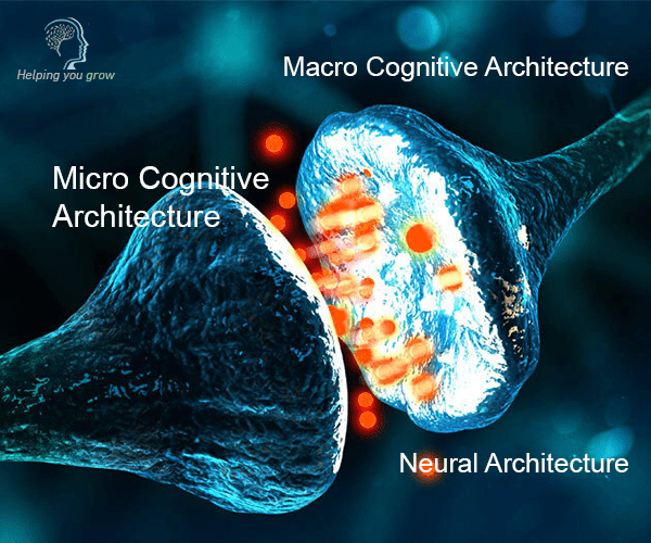 Micro-Cognition​